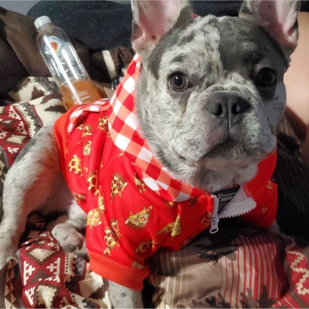 Beast & Buckle Sz M Pizza Hoodie Dog Sweatshirt- DISCONTINUED DEADSTOCK